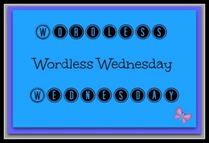 Wordless Wednesday 1.web